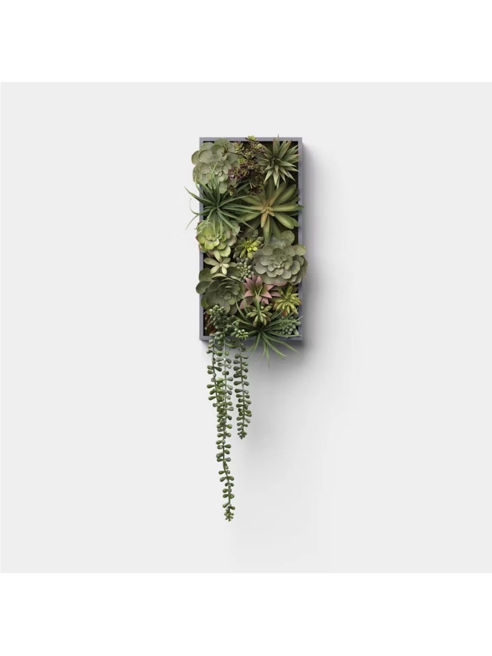 19" Hanging Artificial Succulent Wall Box
Multiple available